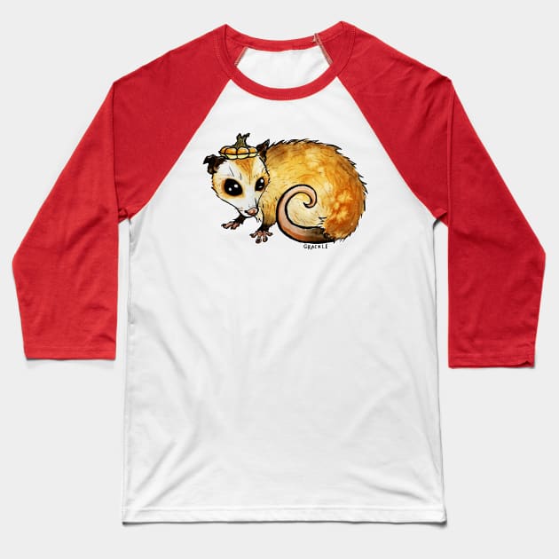 Pumpkin Spice Possum Baseball T-Shirt by Jan Grackle